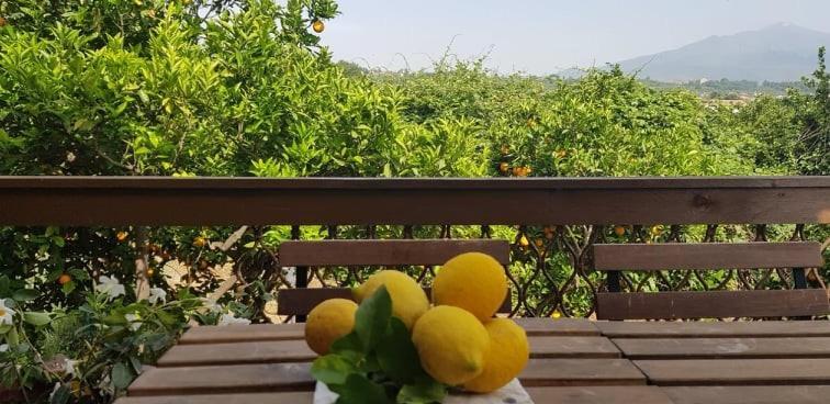 L'Aranceto Villa Acireale Eksteriør billede