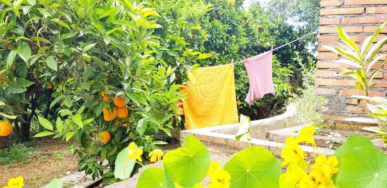 L'Aranceto Villa Acireale Eksteriør billede