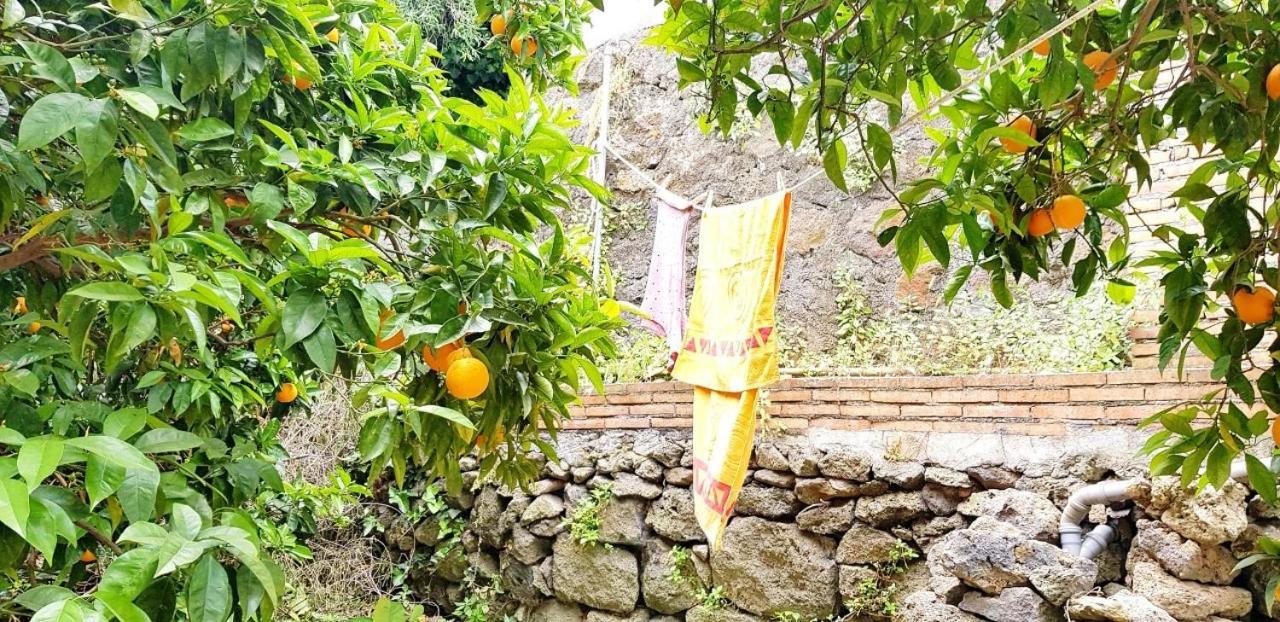 L'Aranceto Villa Acireale Eksteriør billede