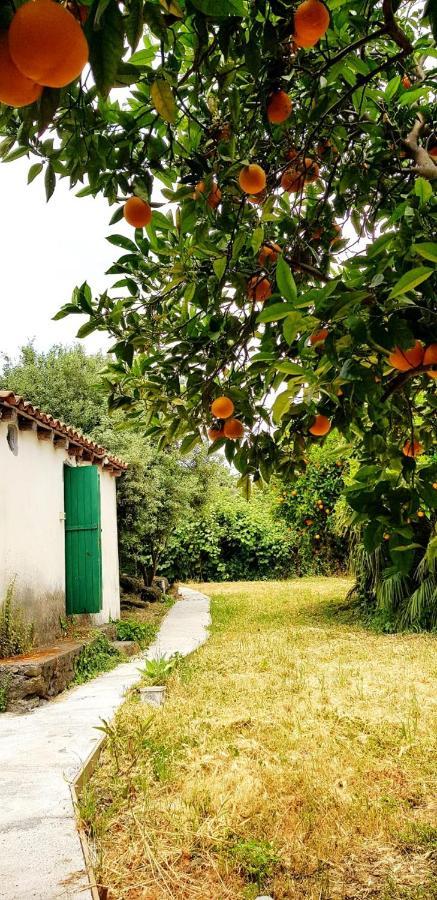L'Aranceto Villa Acireale Eksteriør billede