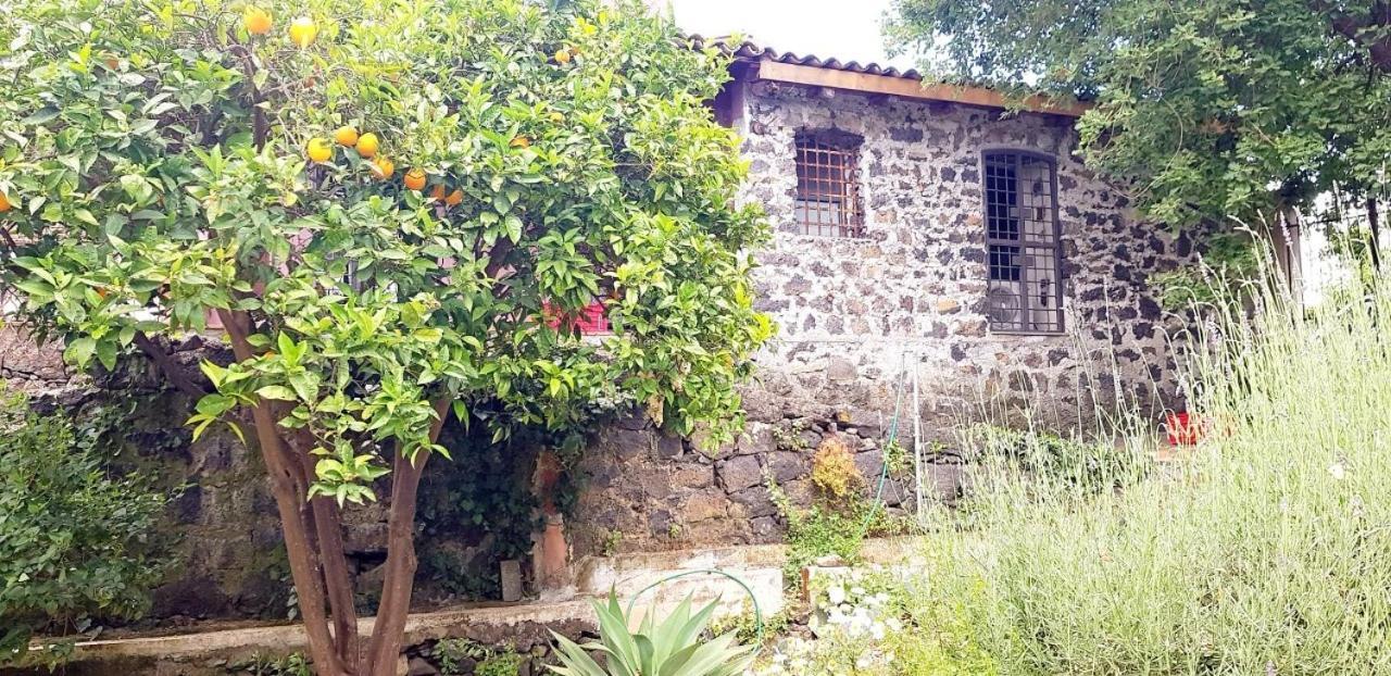 L'Aranceto Villa Acireale Eksteriør billede
