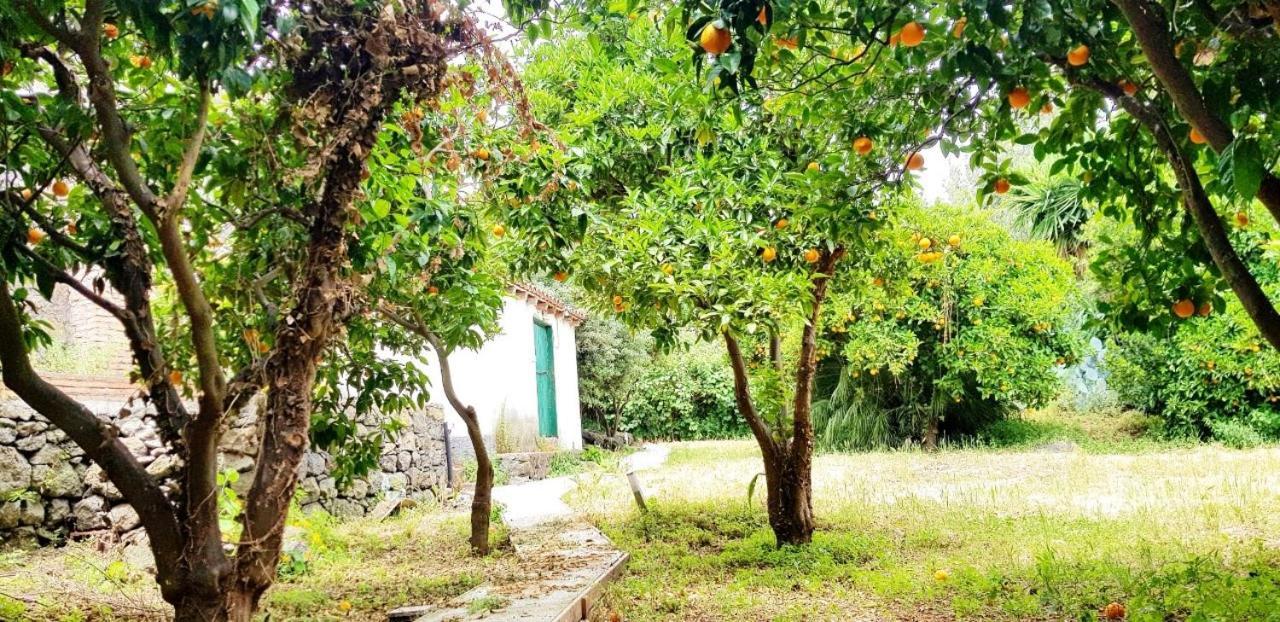 L'Aranceto Villa Acireale Eksteriør billede